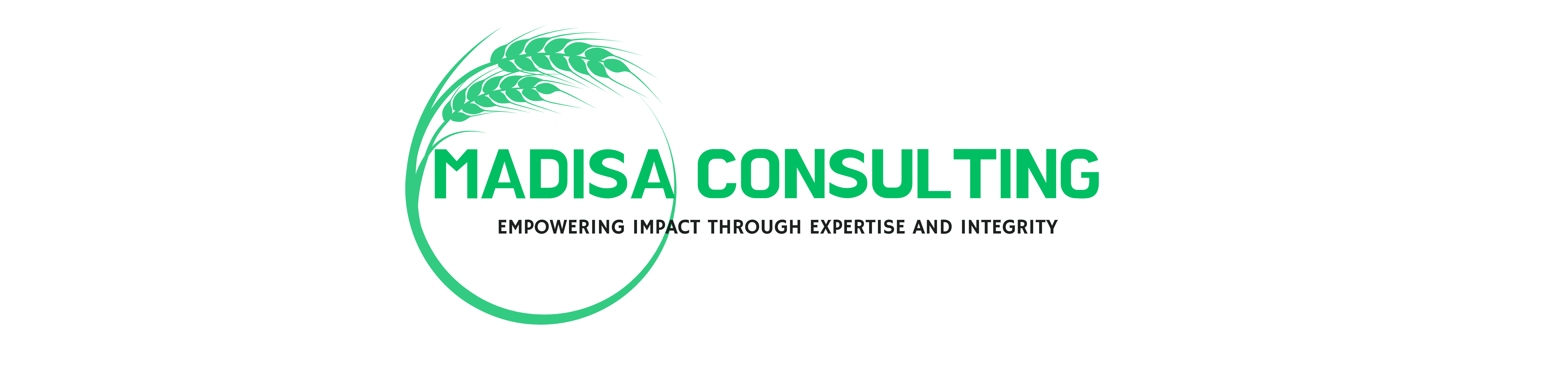 Madisa Consulting Logo